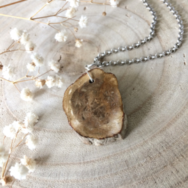 Ketting Versteend Hout