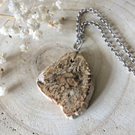 Ketting Versteend Hout