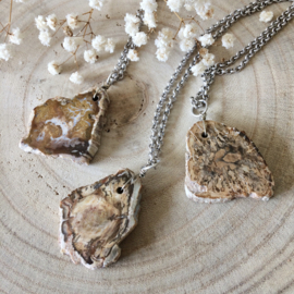 Ketting Versteend Hout