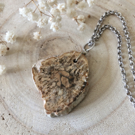 Ketting Versteend Hout