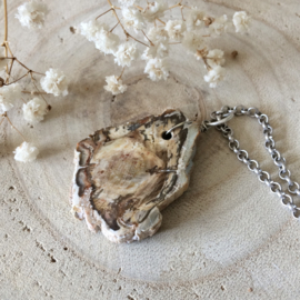 Ketting Versteend Hout
