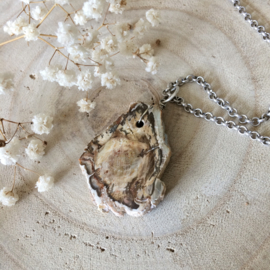 Ketting Versteend Hout