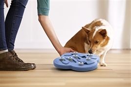 Nina Ottosson Dog Hide N Slide composiet 33 x 33 x 5 cm