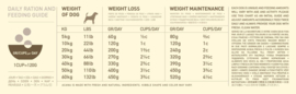 Light & Fit