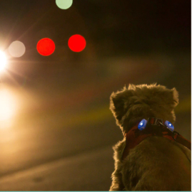 Curli Luumi Led Light