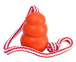 KONG Aqua oranje