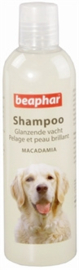 Beahpar Shampoo 250 ML