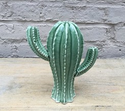 Cactus in keramiek