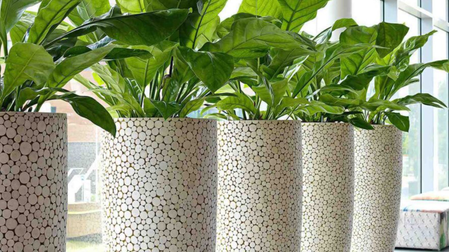 Bloemen en planten voor bedrijven Bloemen en planten voor bedrijven