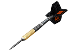 Target Raymond van Barneveld Gen2