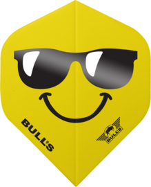 Bull's Sunglasses 100 No.2