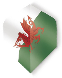 Maestro Standaard Vlag Wales