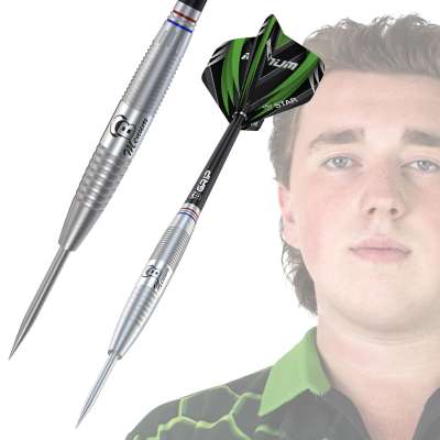 Bull's Challenger Danny Jansen 26 Gram