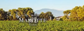 Proefpakket Domaine De Marotte - Mont-Ventoux BIO (4 flessen)