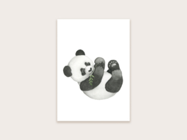 Ansichtkaart panda
