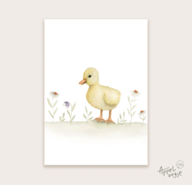 A6 (sale)