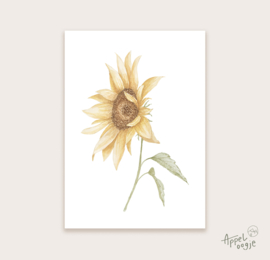 Ansichtkaart zonnebloem