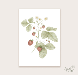 Ansichtkaart aardbeienplant