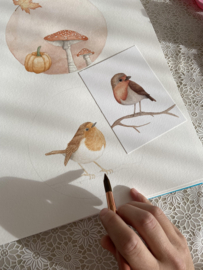Bubble & Bird - waterverf workshop - op aanvraag