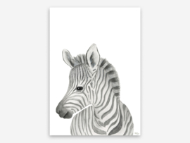 A3 kop zebra