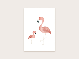 Ansichtkaart flamingo