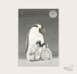 Ansichtkaart pinguïns donker