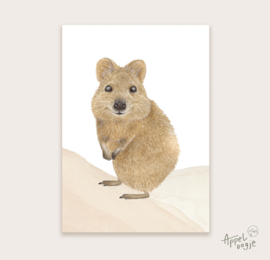 Ansichtkaart quokka