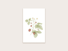 minikaartje/label aardbeienplant