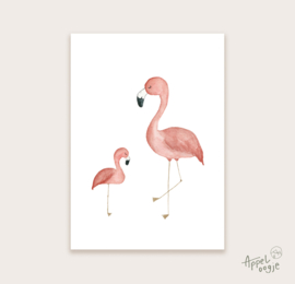 Ansichtkaart flamingo