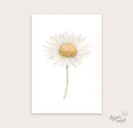 Ansichtkaart margrietje
