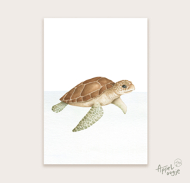 Ansichtkaart schildpad