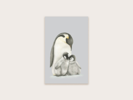 minikaartje pinguïns