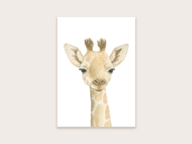 Ansichtkaart kop giraffe