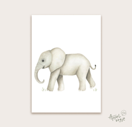 Ansichtkaart olifant