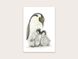 Ansichtkaart pinguïns