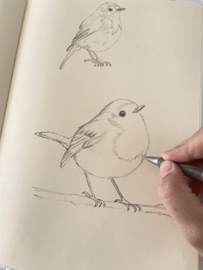 Bubble & Bird - 12 oktober - waterverf workshop