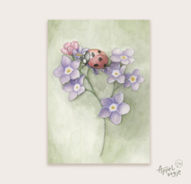 Ansichtkaart lieveheersbeestje met bloemen