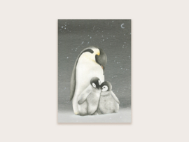 Ansichtkaart pinguïns donker (oude versie)