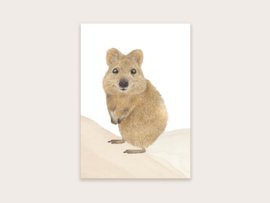 Ansichtkaart quokka