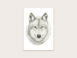 Ansichtkaart wolf