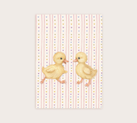 A7 eendjes