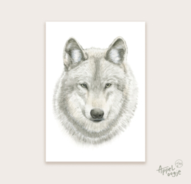Ansichtkaart wolf