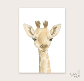 Ansichtkaart kop giraffe