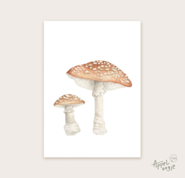Ansichtkaart paddenstoelen