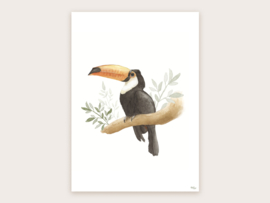 Set A3 posters (vos, hert, konijn, uil + gratis toekan)