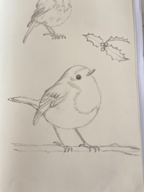 Bubble & Bird - waterverf workshop - op aanvraag