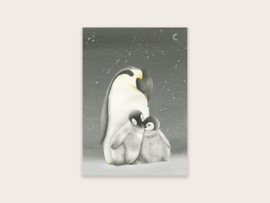 Nieuw: Ansichtkaart pinguïns donker