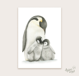 Ansichtkaart pinguïns
