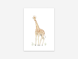 Ansichtkaart giraffe