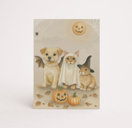 A7 Halloween